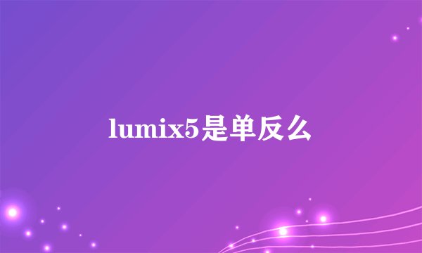 lumix5是单反么