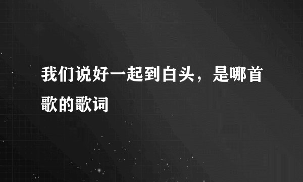我们说好一起到白头，是哪首歌的歌词