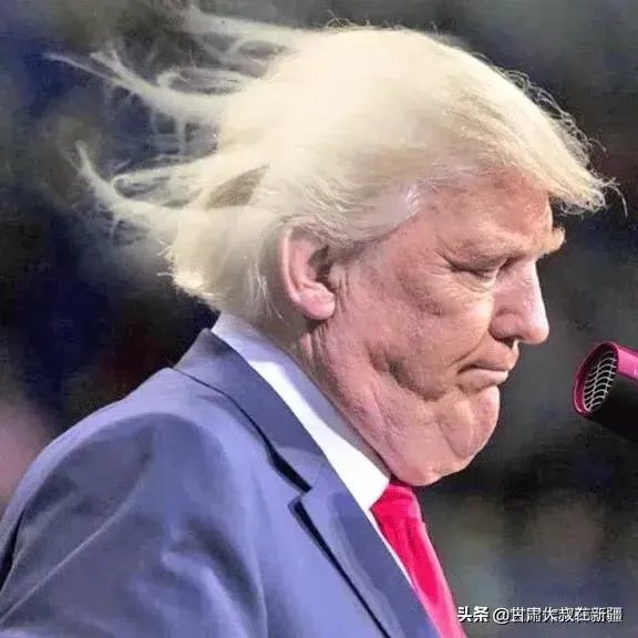 特朗普为什么建议推迟美国总统选举?