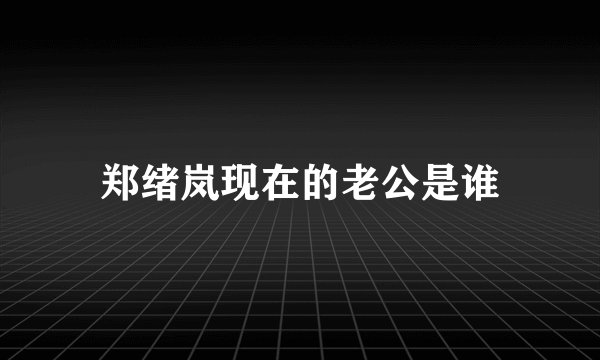 郑绪岚现在的老公是谁