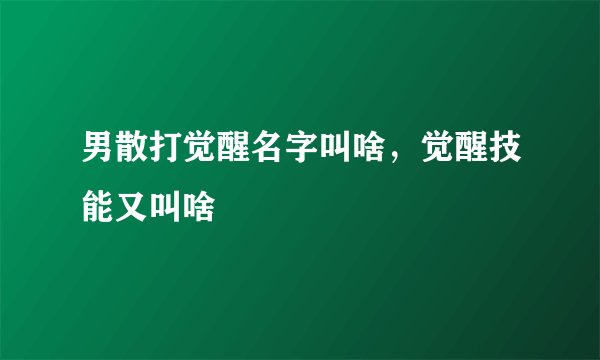 男散打觉醒名字叫啥，觉醒技能又叫啥