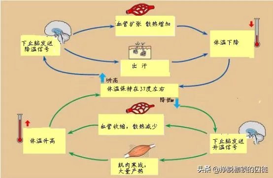 山东菏泽1岁娃被锁车内,民警要砸窗救人,孩子妈妈坚持“再等等”,她想等啥?