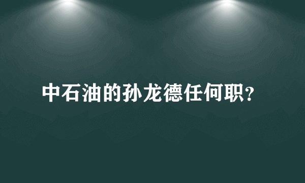 中石油的孙龙德任何职？