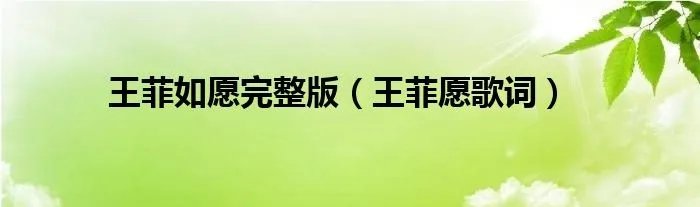 王菲如愿完整版（王菲愿歌词）