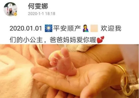 何雯娜宣布产女：何雯娜个人资料简介
