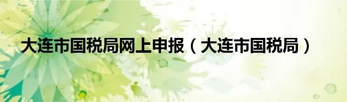 大连市国税局网上申报（大连市国税局）