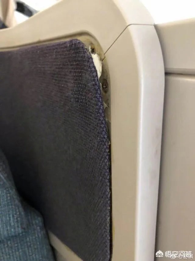 舒淇发文怒斥乘机旅客碰撞电视损坏公物,乘客应该为其不文明行为负责么?
