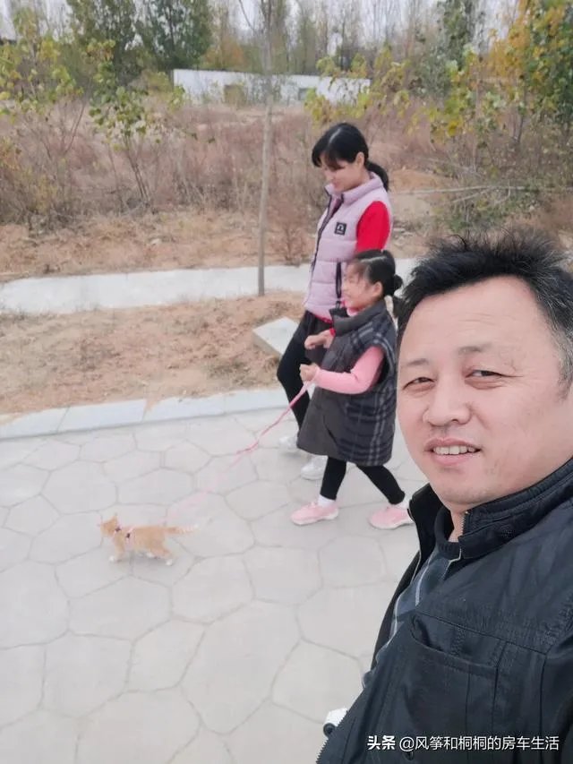 房车旅行可以带猫吗?为什么?