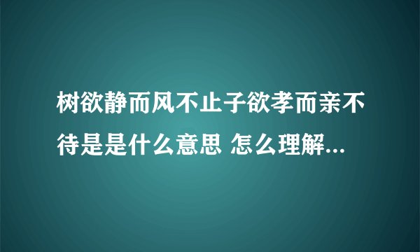 树欲静而风不止子欲孝而亲不待是是什么意思 怎么理解树欲静而风不止子欲孝而亲不待