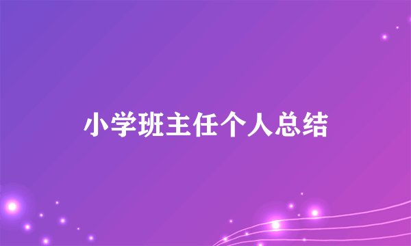 小学班主任个人总结