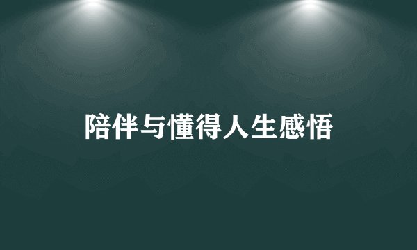陪伴与懂得人生感悟