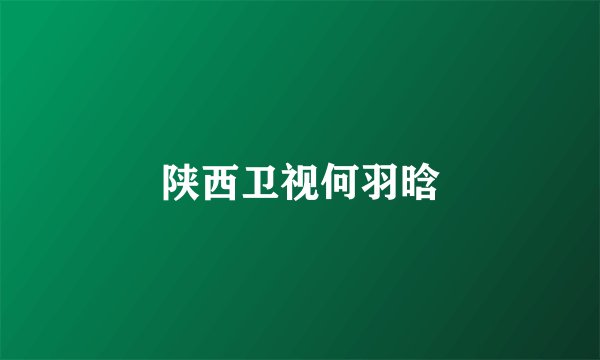 陕西卫视何羽晗