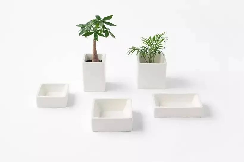 Nendo 3月新品-宠物狗用品系列