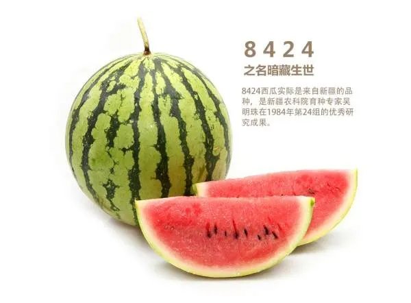 《8424》的西瓜种植技术?