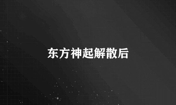东方神起解散后
