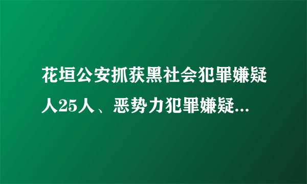 花垣公安抓获黑社会犯罪嫌疑人25人、恶势力犯罪嫌疑人18人！