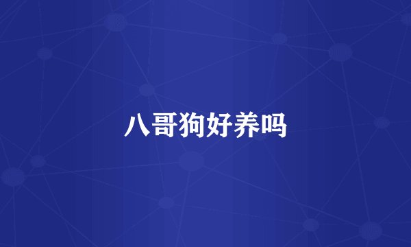 八哥狗好养吗