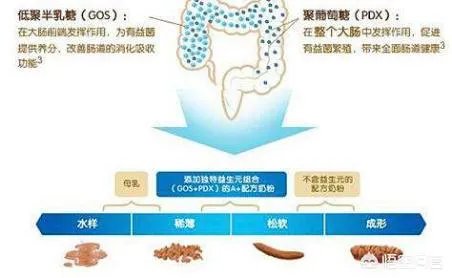 美素佳儿金装奶粉和美赞臣哪个好?都是进口的知名品牌,不知道怎么选?