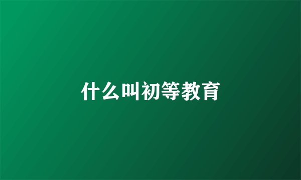 什么叫初等教育