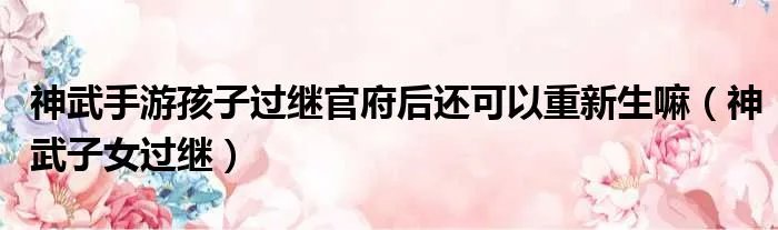 神武手游孩子过继官府后还可以重新生嘛(神武子女过继)