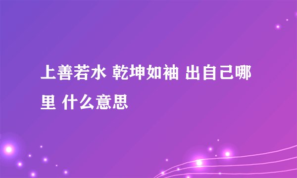 上善若水 乾坤如袖 出自己哪里 什么意思