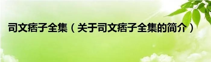 司文痞子全集（关于司文痞子全集的简介）