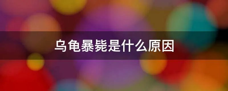 乌龟暴毙是什么原因