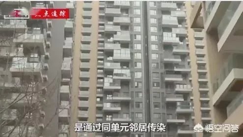 关于哈尔滨女留学生韩某,她是不是真正的疫情传播者?