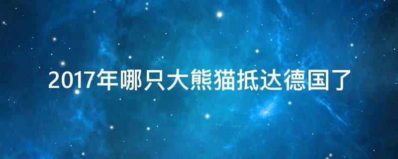 2017年哪只大熊猫抵达德国了