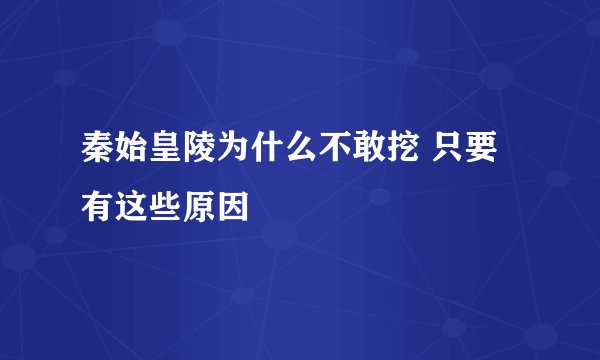 秦始皇陵为什么不敢挖 只要有这些原因