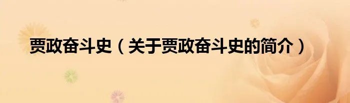 贾政奋斗史（关于贾政奋斗史的简介）
