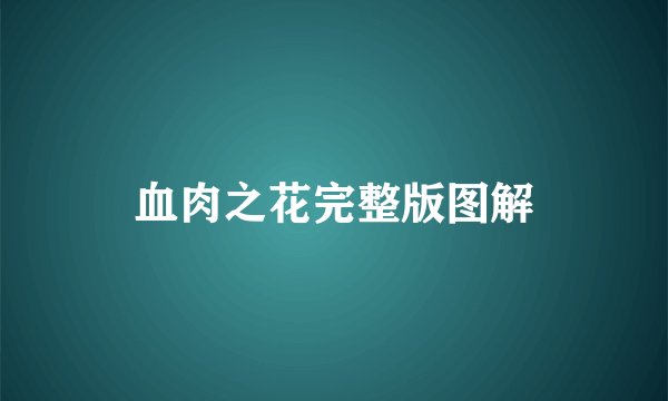 血肉之花完整版图解
