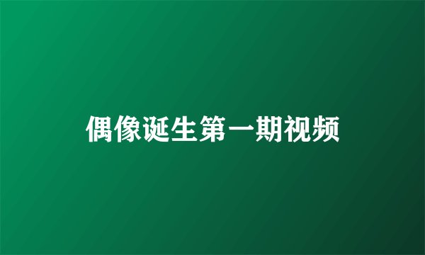 偶像诞生第一期视频