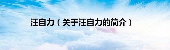 汪自力（关于汪自力的简介）