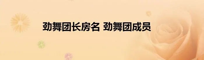 劲舞团长房名 劲舞团成员