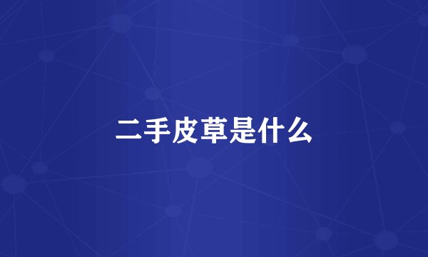 二手皮草是什么