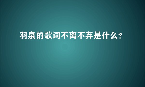 羽泉的歌词不离不弃是什么?