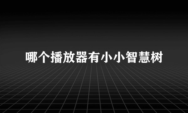 哪个播放器有小小智慧树