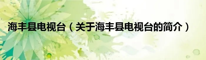 海丰县电视台（关于海丰县电视台的简介）