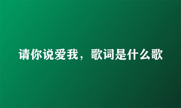 请你说爱我,歌词是什么歌
