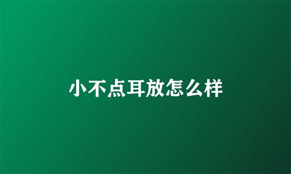 小不点耳放怎么样