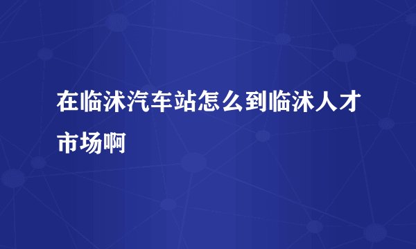 在临沭汽车站怎么到临沭人才市场啊