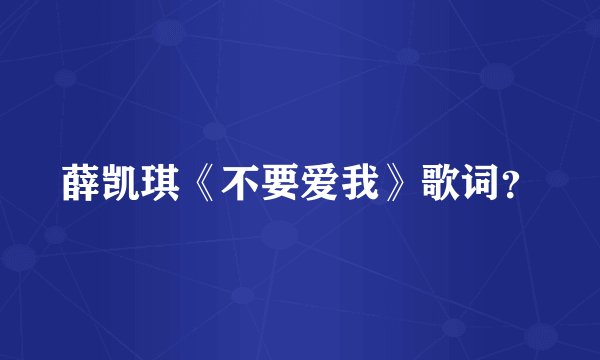 薛凯琪《不要爱我》歌词？