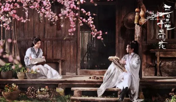 三生三世十里桃花评价