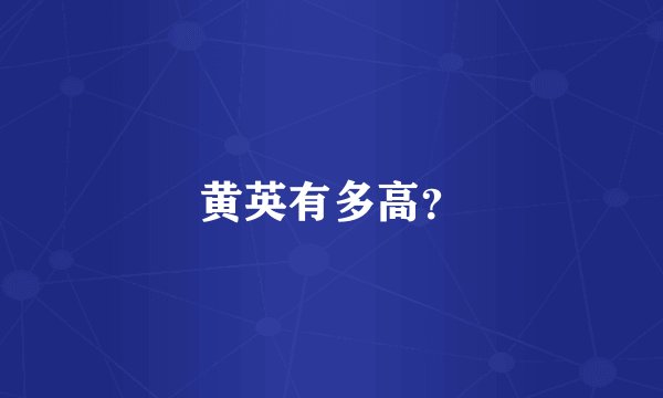 黄英有多高？