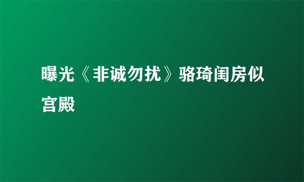 曝光《非诚勿扰》骆琦闺房似宫殿