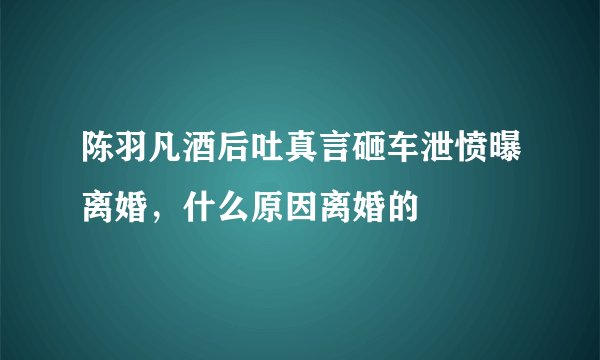 陈羽凡酒后吐真言砸车泄愤曝离婚，什么原因离婚的