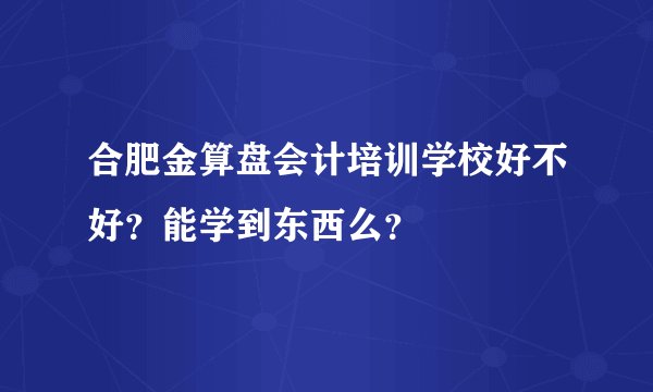 合肥金算盘会计培训学校好不好?能学到东西么?