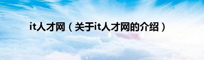 it人才网（关于it人才网的介绍）