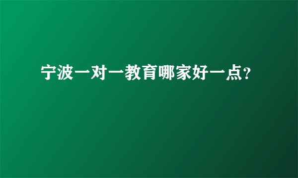 宁波一对一教育哪家好一点?